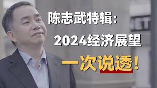 陈志武特辑：2024经济展望——消费、就业、出口、楼市、股市，一次说透！《十三邀S4 ThirteenTalks》 #许知远#十三邀