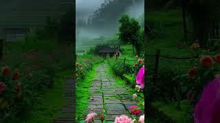Breathe In Nature  | Calm & Peaceful Scenery #shorts