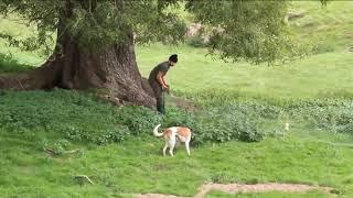 Bolting rabbits with molly and ryan