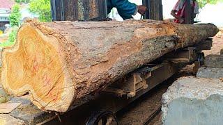 The process of sawing teak wood into beams for joglo house materials