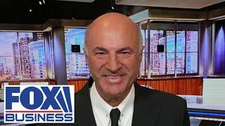 Kamala Harris is ‘paying the price’: Kevin O’Leary