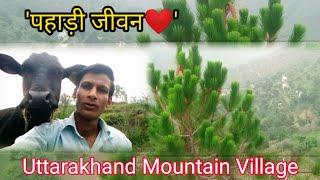 Pahadi village life in uttarakhand | village vlog | mountain village lifestyle | hill villager