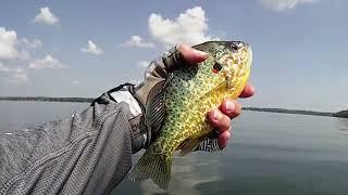 Huge Pumpkinseed - Kayak Fishing