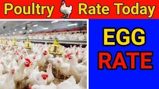 अंडे रेट - Today's Poultry Rate , Daily Egg Rate , Poultry Bazaar , Poultry Rates , Egg Mandi Rates