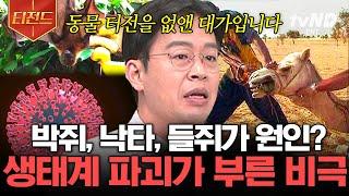 [#티전드] 박쥐가 바이러스의 시작? 모든 인수공통감염병의 원인에는 다름 아닌 인간이 있다 | #벌거벗은세계사