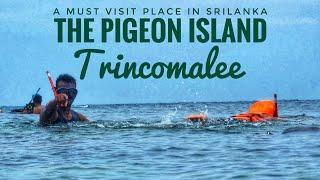 Snorkeling | Pigeon Island Sri Lanka  | Must Visit Place in life | Relaxing time at Nilaveli