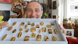 International Crystal Healer Talks about Bumblebee Jasper : Mark Bajerski