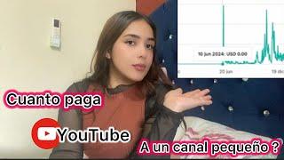 Cuanto paga YouTube a un canal pequeño ? Mis resultados en 6 meses  monetizando