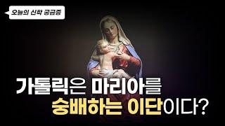 천주교 가톨릭은 정말 이단일까? | 오늘의 신학 궁금증