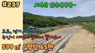 #237 [고려산자락] 599 ㎡(181평), 강화 고천리, 맑은계곡물 옆, 고려저수지 인근, 천렵, 혈구산자락, 퇴모산자락, 포근한 느낌의 부지, 산으로 둘러쌓인 땅, 주인급함