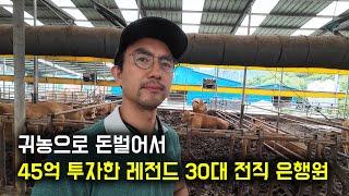 소 40마리를 시작으로 13년만에 45억 투자한 레전드 30대 전직 은행원 이야기.