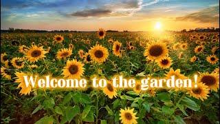  Welcome to the garden! 