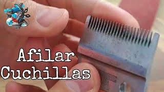 Devolverles el FILO a tus CUCHILLAS en 3 Minutos - ASMR