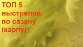 ТОП 5 ВЫСТРЕЛОВ ПО САЗАНУ,карпу.Подводная охота на реке Днепр.