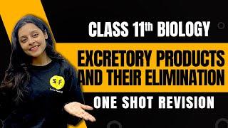 Excretory Products and Their Elimination One Shot Revision Biology | Class 11 Biology By Sonam Maam