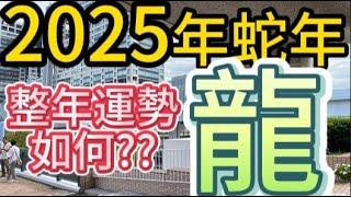 【古柏論命 - 張古柏】2025年乙巳蛇年12生肖整年運勢透析 – 龍