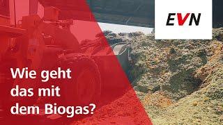 Biogas - Was ist das und was macht die EVN damit?