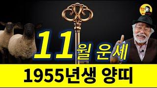 2024년 11월운세 [1955년생] #11월운세 #1955년생운세 #양띠운세 #갑진년운세 #이달의운세