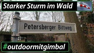 Petersberger Bittweg mit stürmischem Abbruch der Wanderung