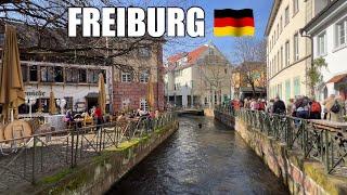 Freiburg, Germany : Charming University City in Black Forest - Spring  Walk / 4K