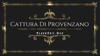 Scacco Al Re La Cattura Di Provenzano