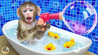 KiKi Monkey playing Giant Bubble in Bathtub with Duckling in the toilet | KUDO ANIMAL KIKI