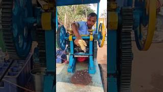 Traditional Sugarcane Juice Making in India  || Healthy & Refreshing Drinks of Odisha #shorts