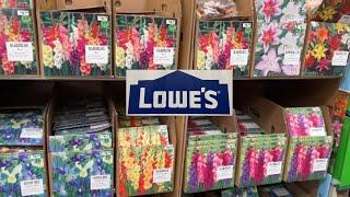 NEW ARRIVALS| Shopping at Lowes for Bulbs and Bare Roots to Plant in Spring