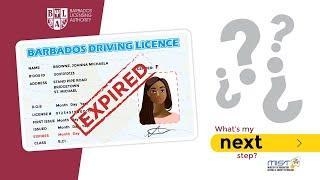 Renewing your driver's licence online