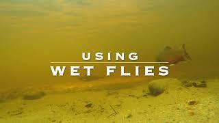 Wet Fly Fishing Tips & Techniques | Guide Tips