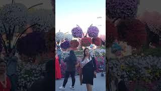 #shortvideo #dubai #miracle garden #satyabhama vlogs