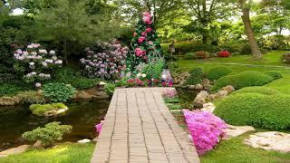 Beautiful flower gardens ideas - Beautiful House