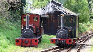 Launceston Steam Railway (Dorothea / Covertcoat) - 25th August 2024