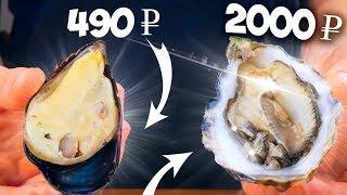 EXPENSIVE OYSTERS VS MUSSELS / WHAT TASTES BETTER?