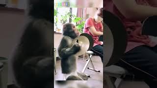 Не забываем окультуриваться, котаны #новости #юмор #csbsvnnq