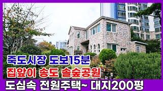 1523 "송도 솔숲공원과 도심을 품은 포항 송도 대형 단독주택, 자연과 편리함이 공존하는 명품집" 포항부동산 포항단독주택 포항대형주택 @강산부동산TV