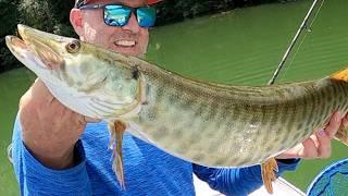 Muskie Fishing & Dock Fishing for as many fish as possible (June Fishing Tournament ep. 6)