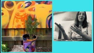 Garden Graffiti: Using Leftover Spray Paint to Create an Artful Pot with Style!