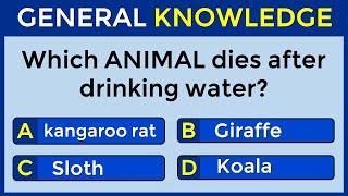 How Good Is Your General Knowledge? Take This 30-question Quiz To Find Out! #challenge 17