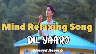 Dil Yaaro Mind Relaxing Song ll Kashmiri latest song ll kashmiri New song