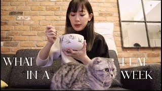 vlog | what I eat in a week 一週吃什麼 ️ 真實 + 簡單菜單  | It's Jcnana 蒨蒨