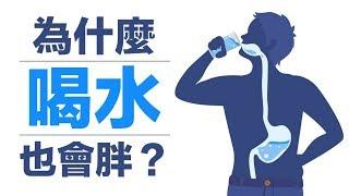 為什麼有人喝水也會胖？