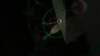 #small motorin used #very nice looking# for you can you try again shorts video#
