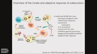 Redox Biology 2016: Redox immunology and NO metabolites