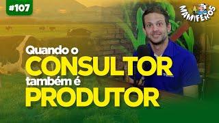 QUANDO O CONSULTOR TAMBÉM É PRODUTOR