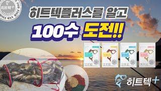 신개념 떡밥 히트텍플러스를 알고 100수 도전하세요!