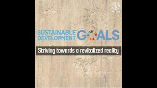 FAO SDGs video explainer