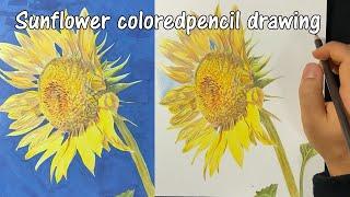 Sunflower Coloredpencil drawing Art Hand painting 해바라기그림 색연필그림 손그림