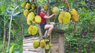 Harvesting Jackfruit And Vegetable Spinach Go To Market Sell || Phương - Free Bushcraft