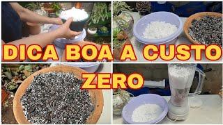 ISOPOR NO SUBSTRATO UMA OPÇÃO BARATA e dá muito certo!